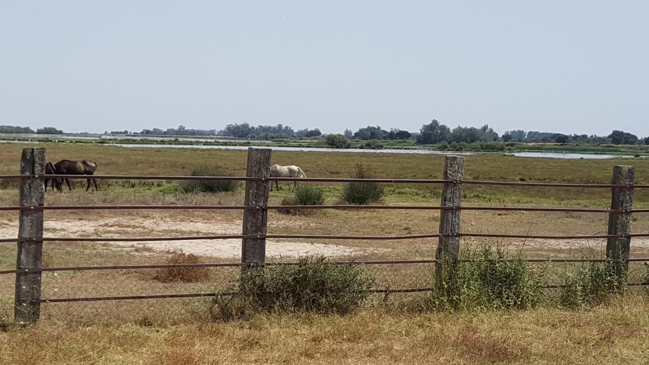Hospederia Rural Las Buganvillas إل روثيو المظهر الخارجي الصورة