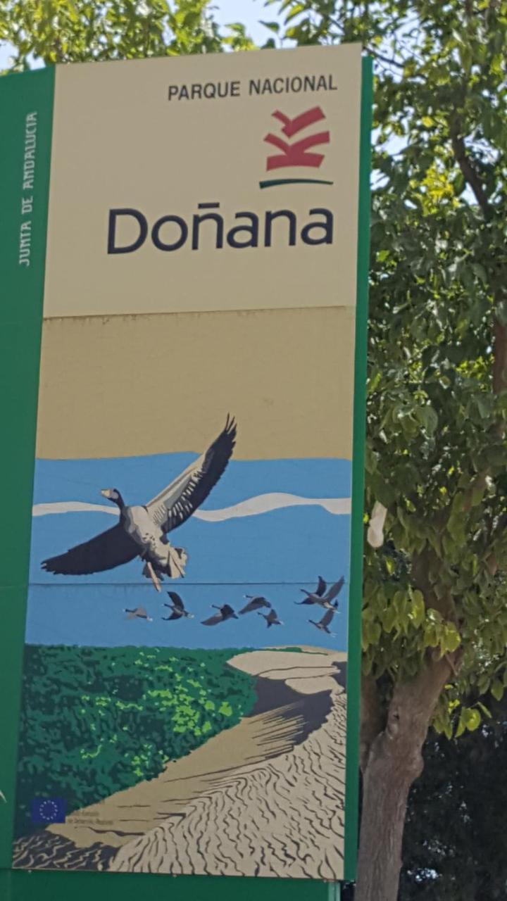 Hospederia Rural Las Buganvillas إل روثيو المظهر الخارجي الصورة