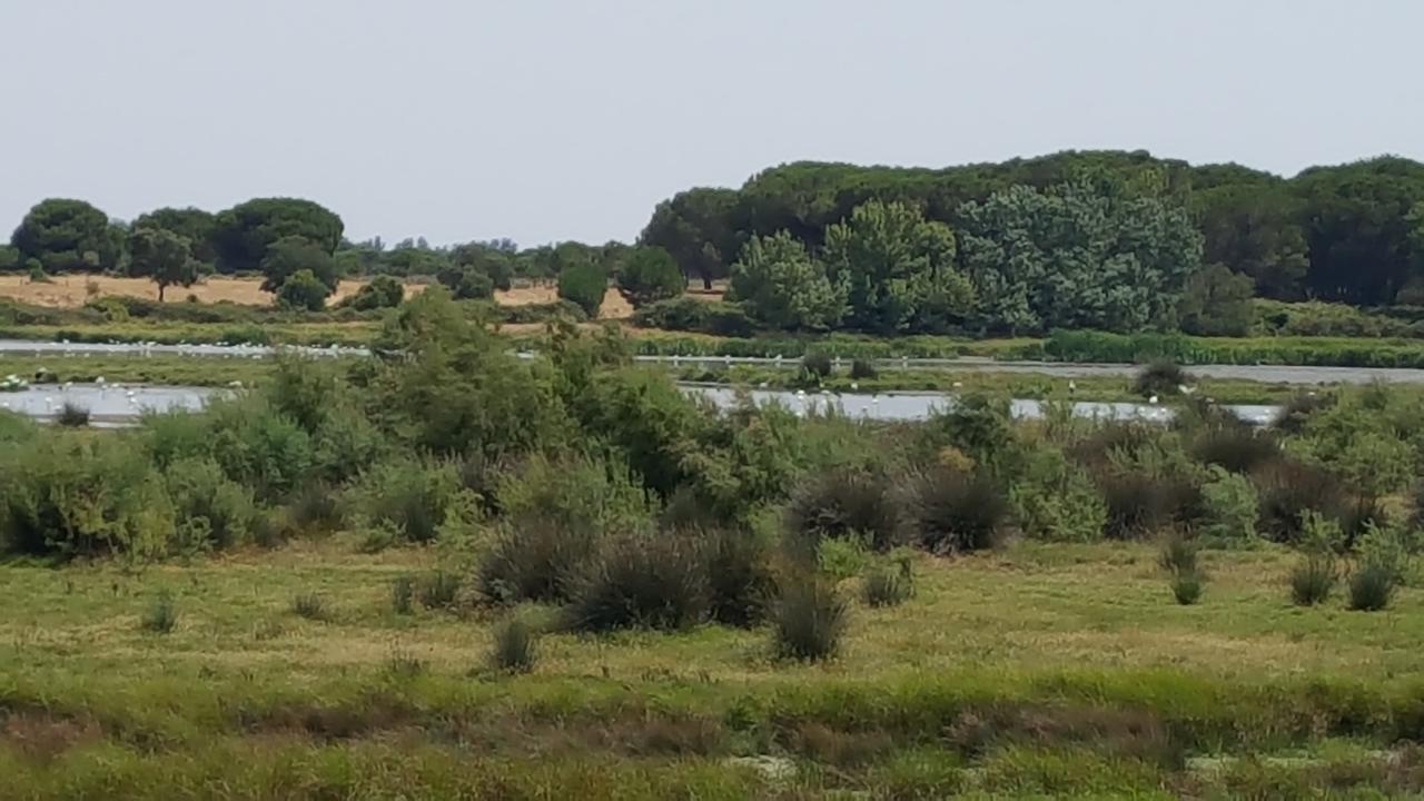 Hospederia Rural Las Buganvillas إل روثيو المظهر الخارجي الصورة