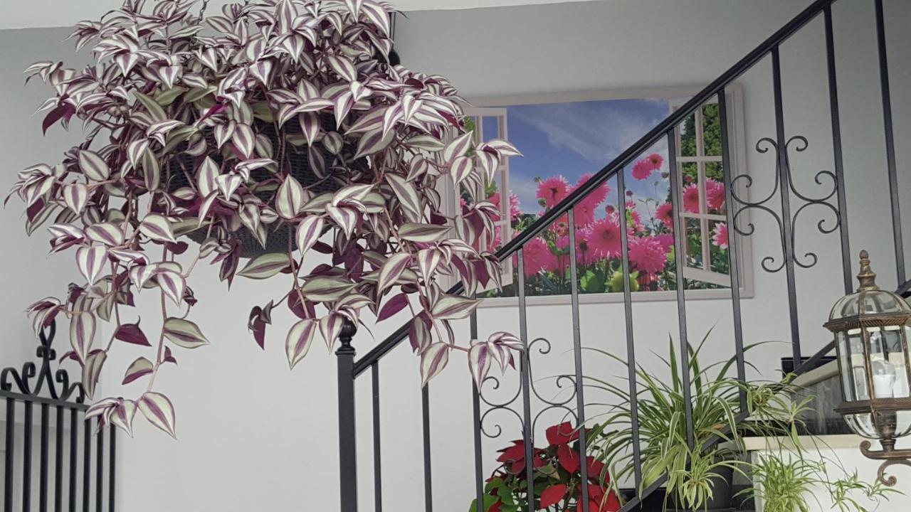 Hospederia Rural Las Buganvillas إل روثيو المظهر الخارجي الصورة