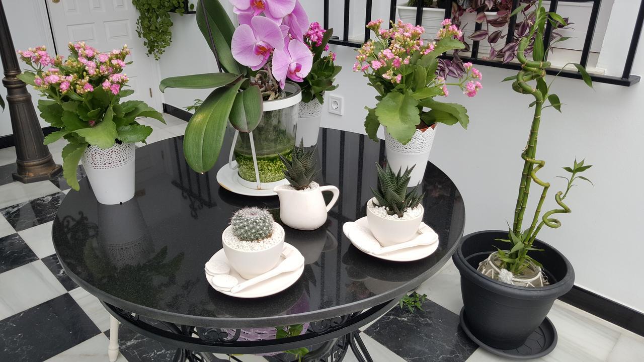 Hospederia Rural Las Buganvillas إل روثيو المظهر الخارجي الصورة
